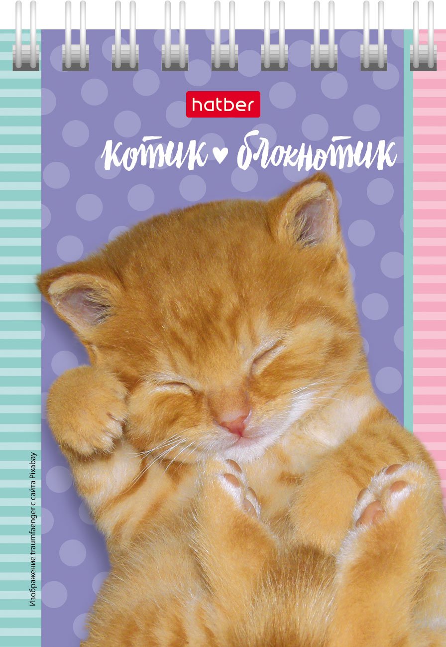 Блокнот 40л А7ф клетка Обложка мел.картон на гребне серия -Котята- 
