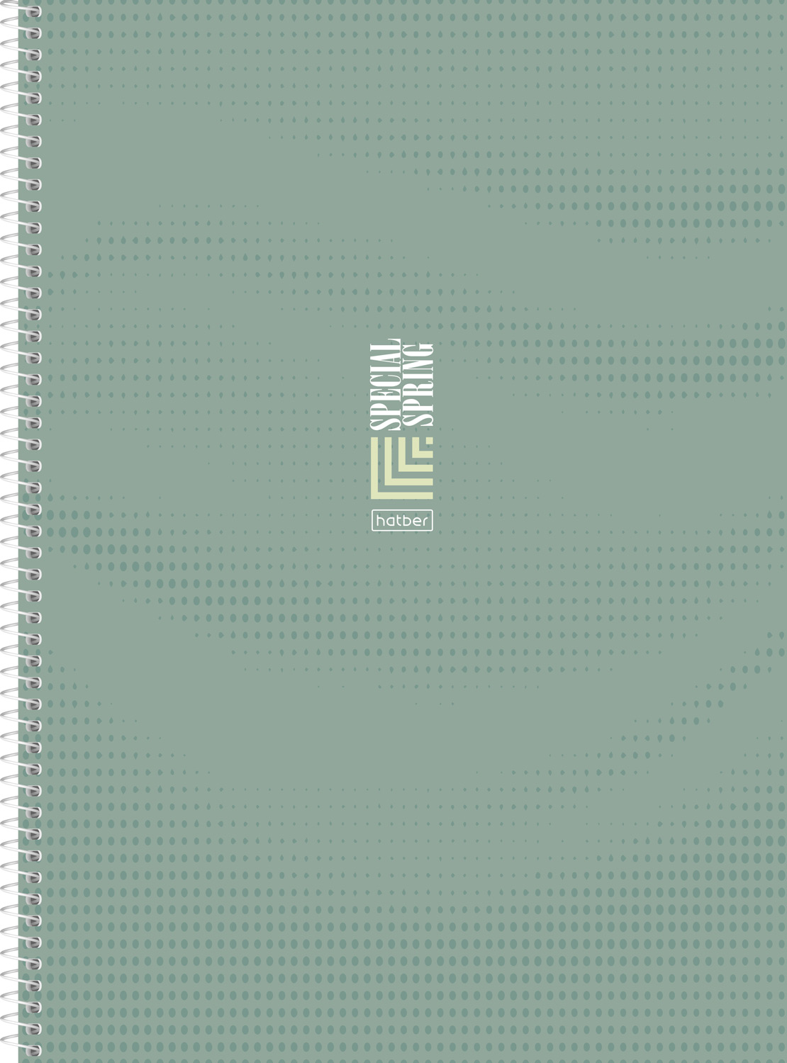 Тетрадь с твердой обложкой 160л А4ф Многоуров.перфорация клетка глянц. ламин. на спирали-Special Spring-