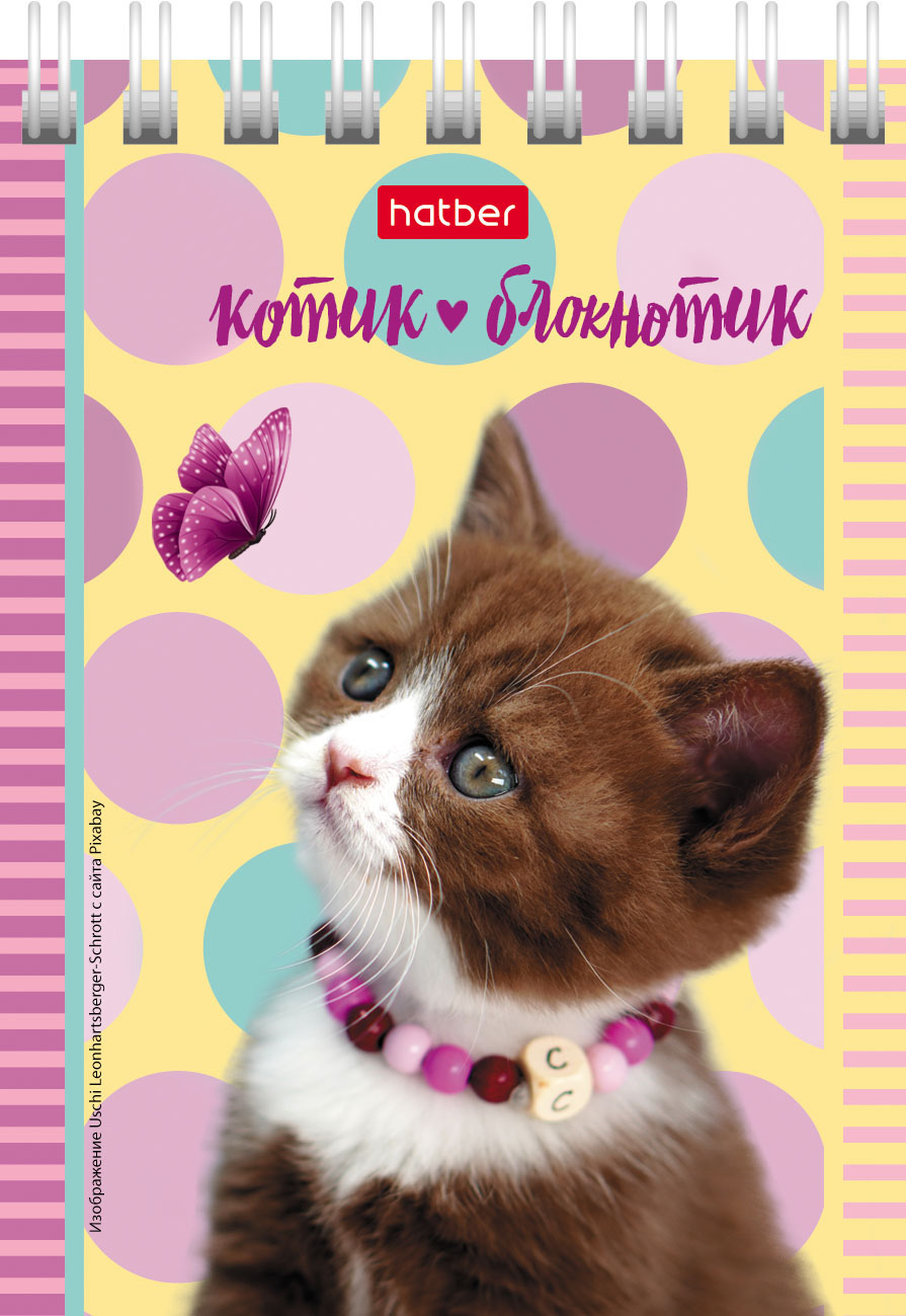 Блокнот 40л А7ф клетка Обложка мел.картон на гребне серия -Котята- 