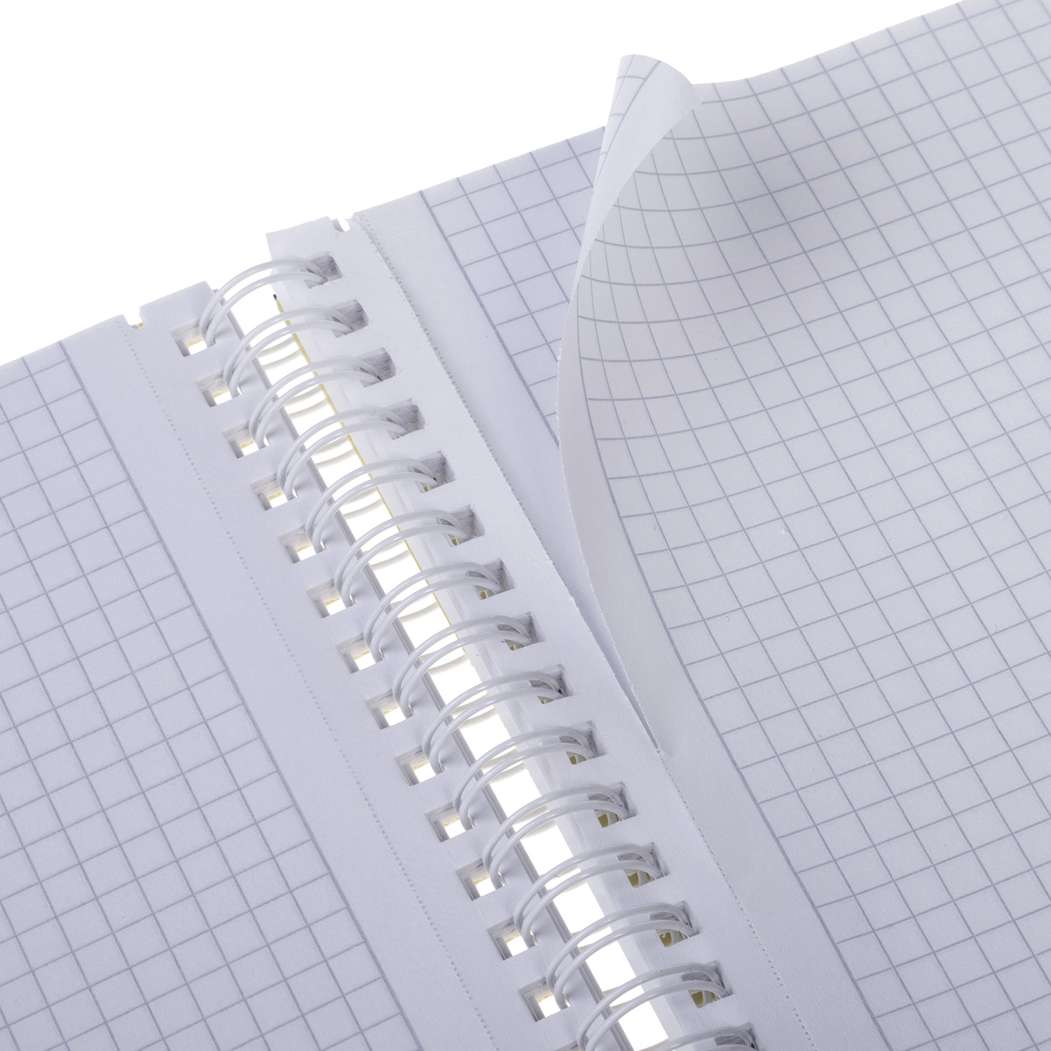 Тетрадь 96л А4ф клетка Пластиковая обложка на гребне LINE NEON 4 цв. разделителя с линейкой Оранжевая  в индив.упак.