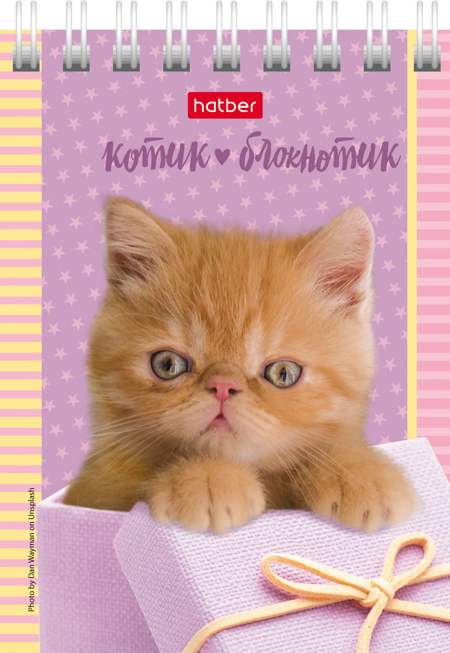 Блокнот 40л А7ф клетка Обложка мел.картон на гребне серия -Котята- 