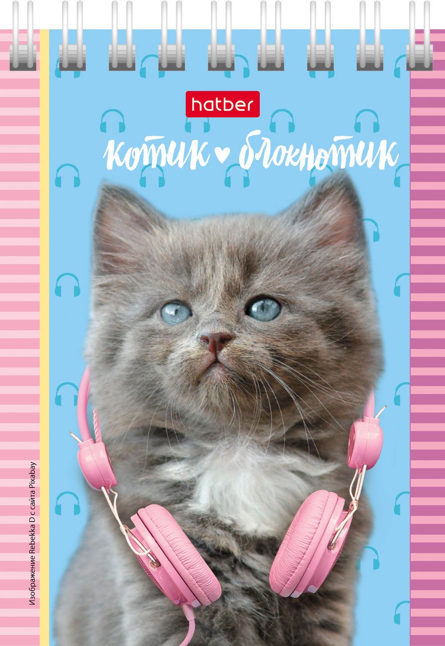 Блокнот 40л А7ф клетка Обложка мел.картон на гребне серия -Котята- 