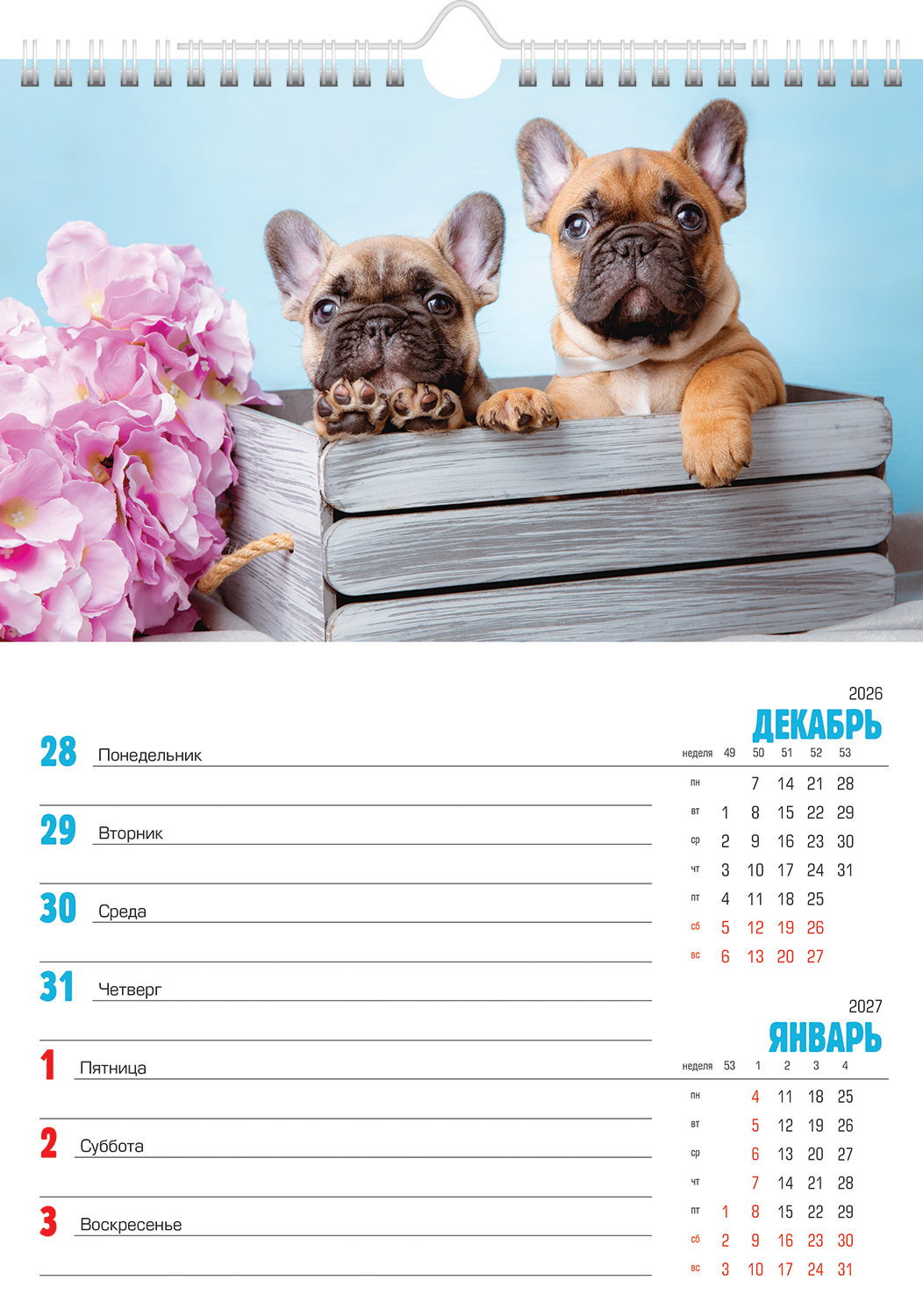 Календарь -Еженедельник настенный перекидной 56л 24х32см  на 2027г бум. Мелованная на гребне с ригелем-Наши любимцы- в инд.упак.с европодвесом 