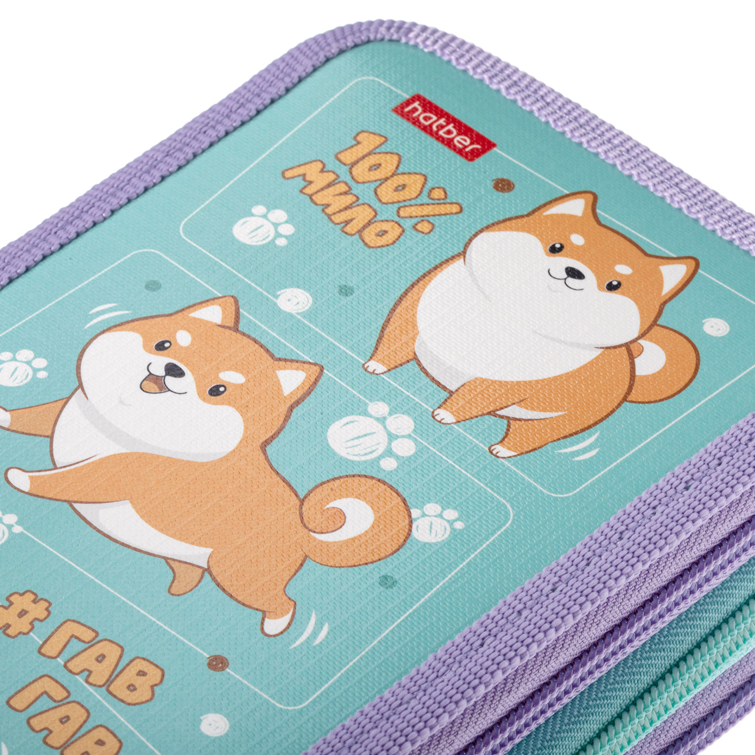 Пенал 190х110мм 3 отделения на молнии глянц. ламин. -Озорной хвостик- с табл.умножения  в индив.упак.