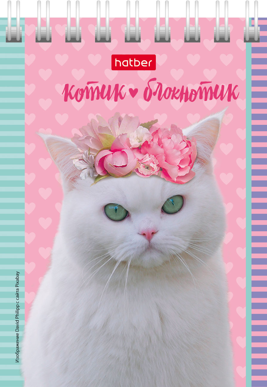 Блокнот 40л А7ф клетка Обложка мел.картон на гребне серия -Котята- 