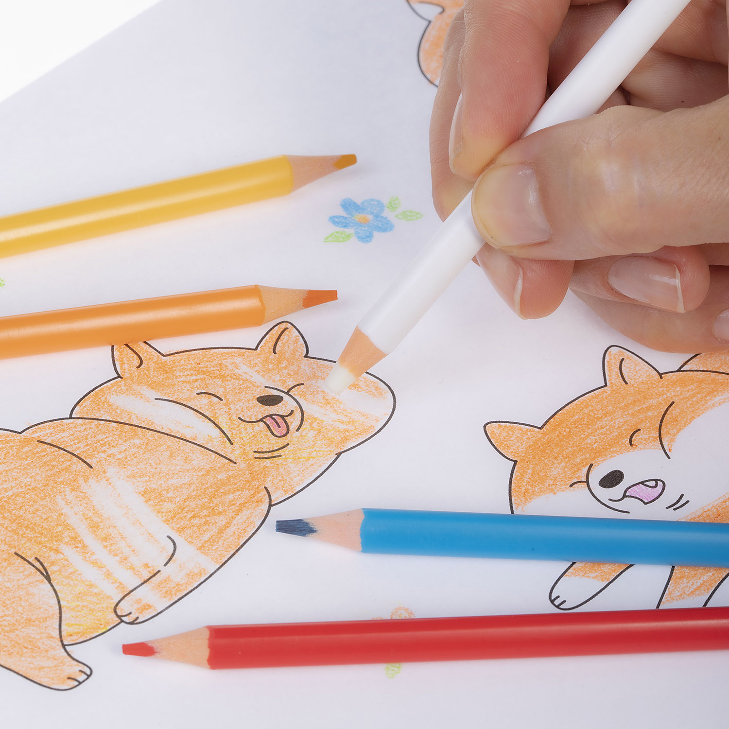 Карандаши цветные стираемые пластиковые трехгран.корпус 24 цв. + 1 карандаш-ластик -ART-TIME- заточен.  в карт. короб. с европодвесом