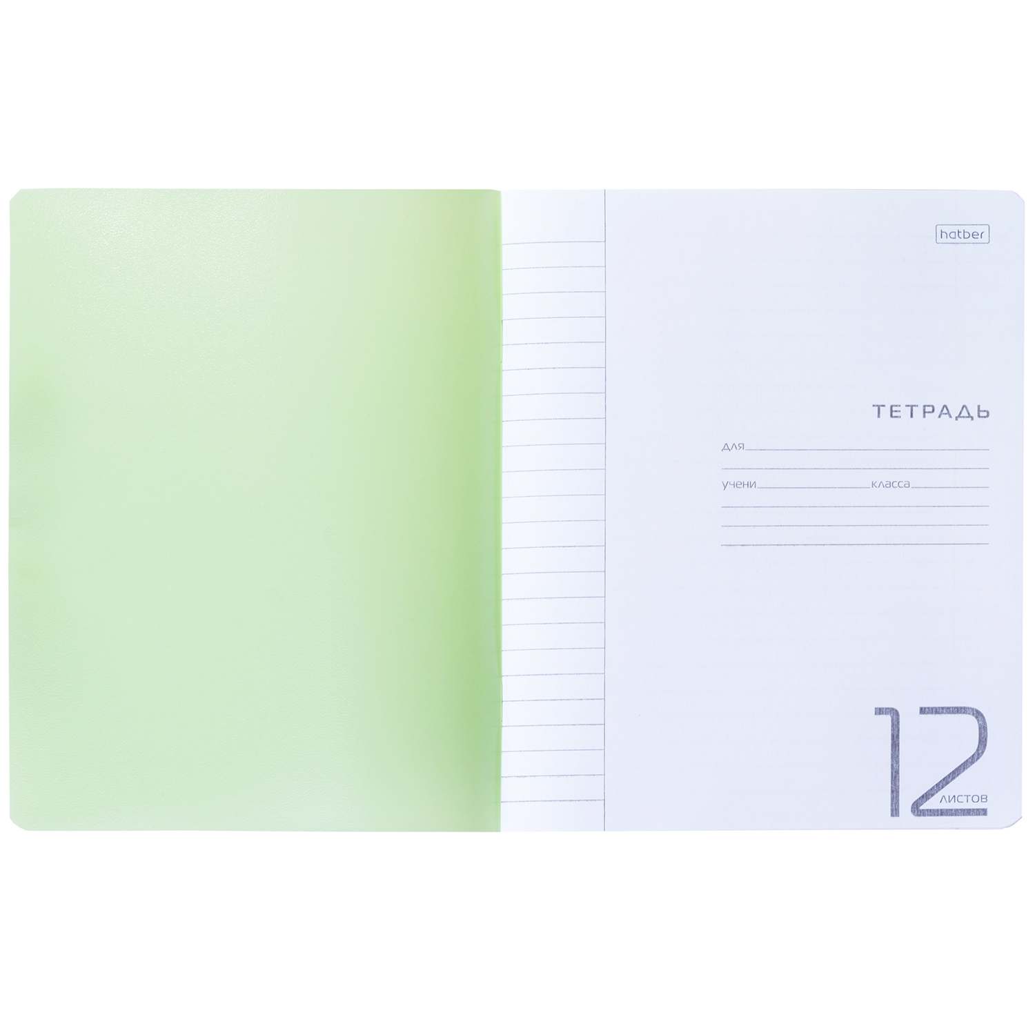 Тетрадь 12л А5ф ЛИНИЯ 60-65г/кв.м Пластиковая обложка на скобе   Зеленая 