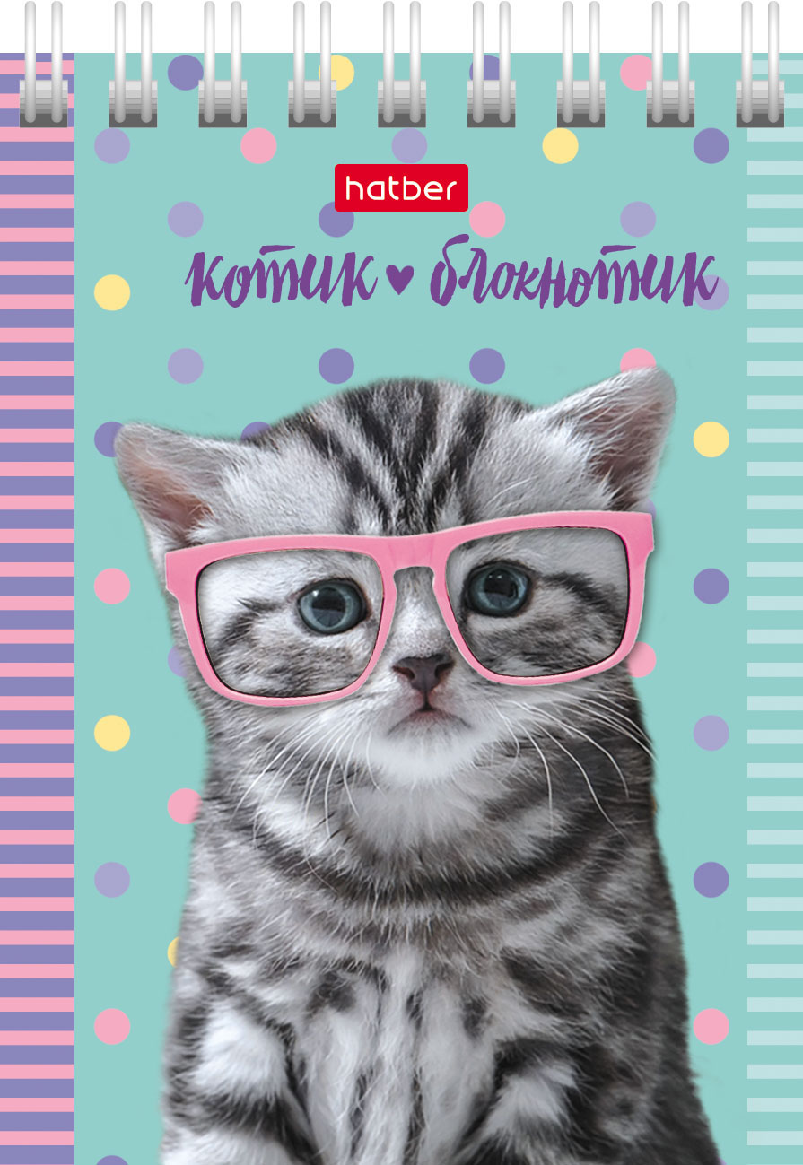 Блокнот 40л А7ф клетка Обложка мел.картон на гребне серия -Котята- 