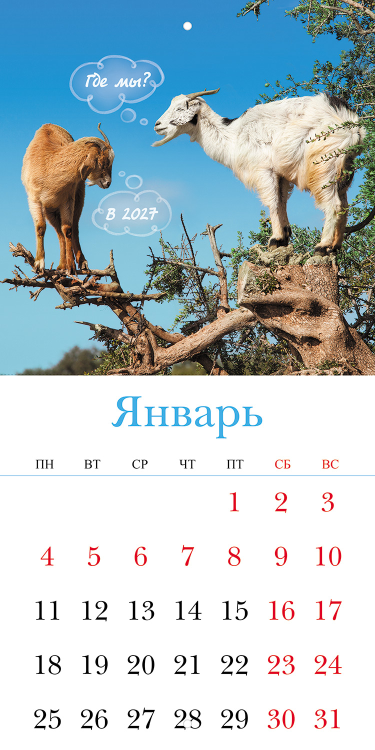 Календарь настенный перекидной 216х216мм Мини-стандарт на 2027г бум. Мелованная на скобе-Знак Года-  в инд.упак.с европодвесом