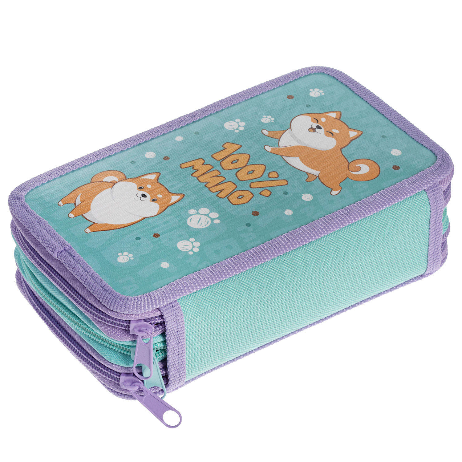 Пенал 190х110мм 3 отделения на молнии глянц. ламин. -Озорной хвостик- с табл.умножения  в индив.упак.