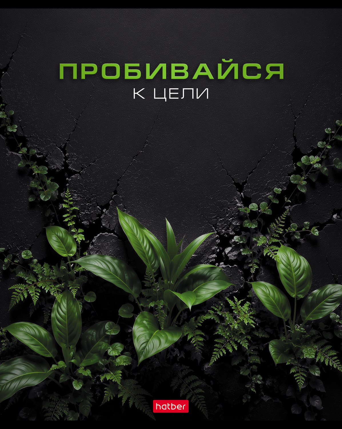 Тетрадь 48л А5ф клетка 60-65г/кв.м на скобе Обл.мел.картон 5 диз.в блоке скругл.углы  серия -Мотивация-